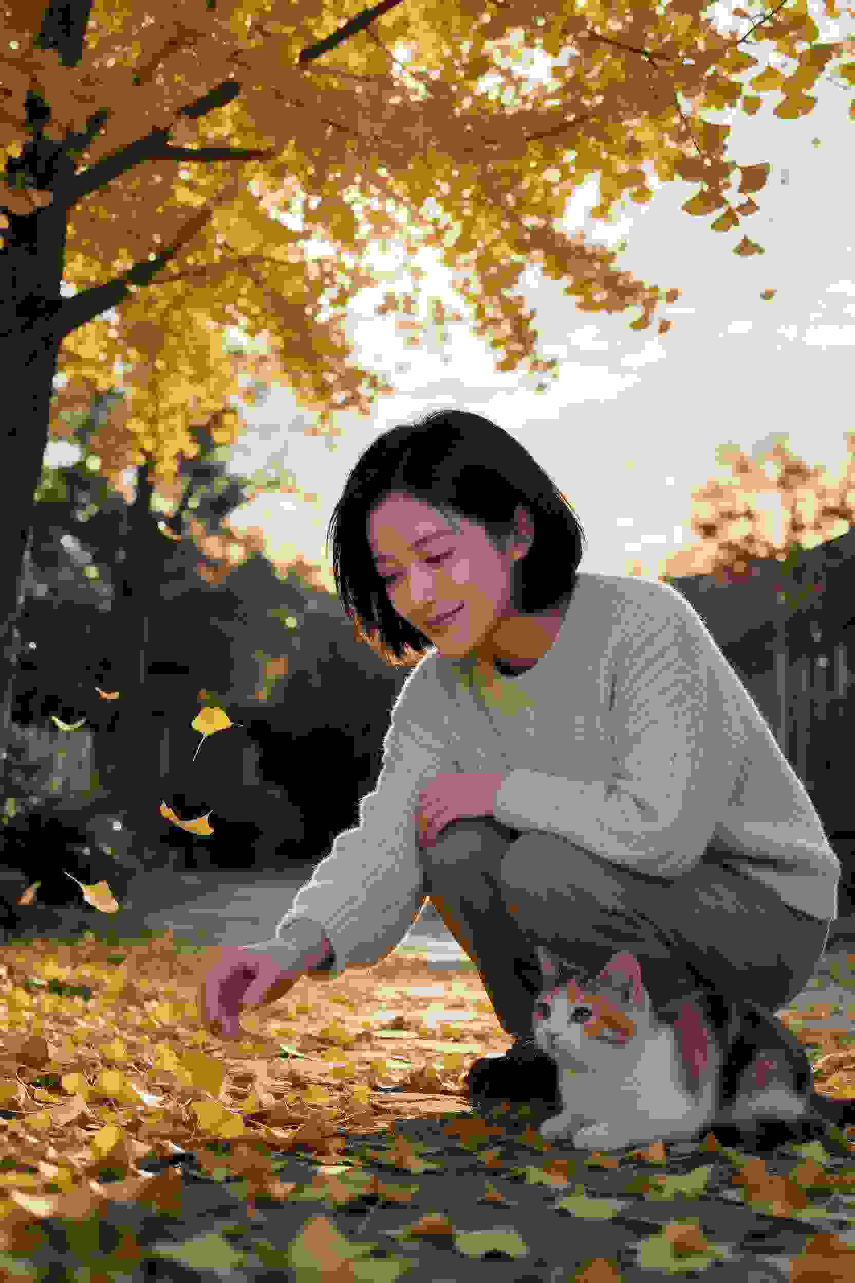 动作作品
